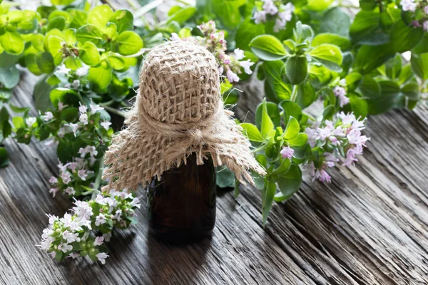 Una botella de aceite esencial de orégano con ramitas de orégano en flor —  Fotos de Stock