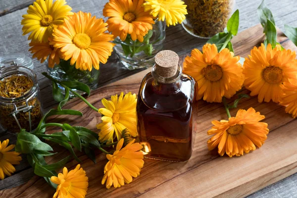 En flaske calendula tinktur med friske calendula blomster - Stock-foto