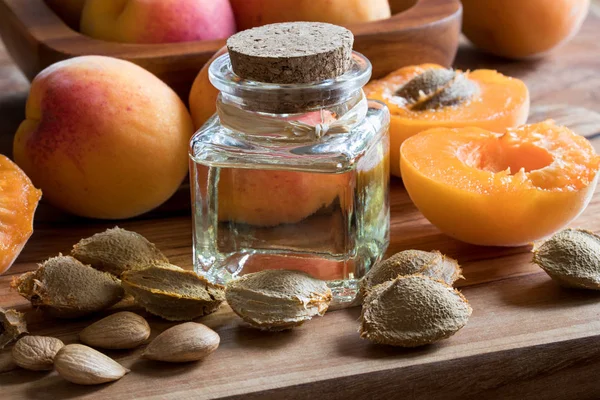 Пляшка олії ядра абрикосів зі свіжими абрикосами — стокове фото