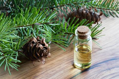 Douglas fir esans Douglas köknar dalları ile bir şişe