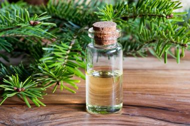 Köknar uçucu yağı çam dalları ile bir şişe
