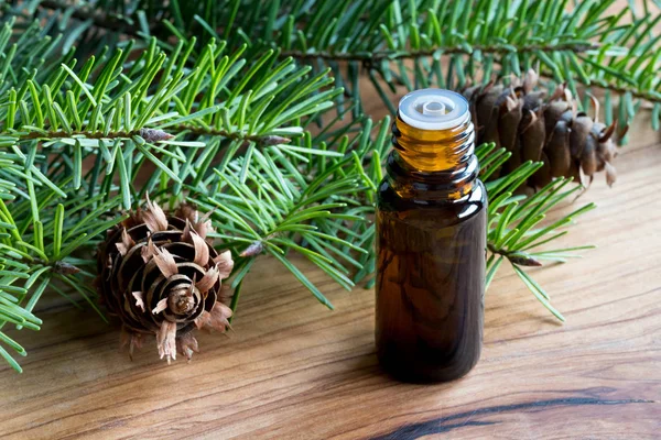 A dark bottle of Douglas fir essential oil with Douglas fir bran — Stock Photo, Image