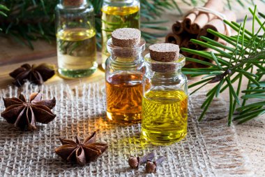 Yıldız anason, karanfil, tarçın Şti ile temel yağlar seçimi