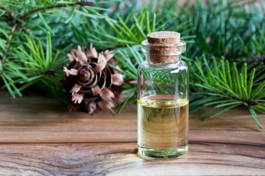 Douglas fir esans taze Douglas köknar sutyen ile bir şişe