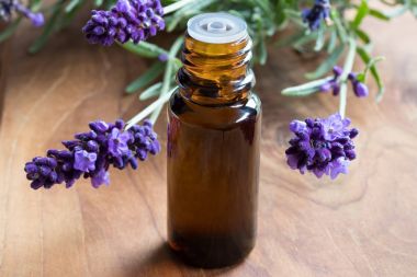 Lavanta esansiyel yağı taze lavanta ile karanlık bir şişe