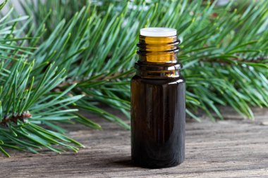 Çam esans Çamın dalları ile karanlık bir şişe