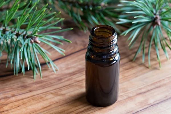 Een fles van pine etherische olie met pijnboomtakken — Stockfoto