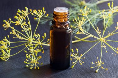 Dereotu tohumu yağı karanlık bir arka plan üzerinde koyu bir şişe