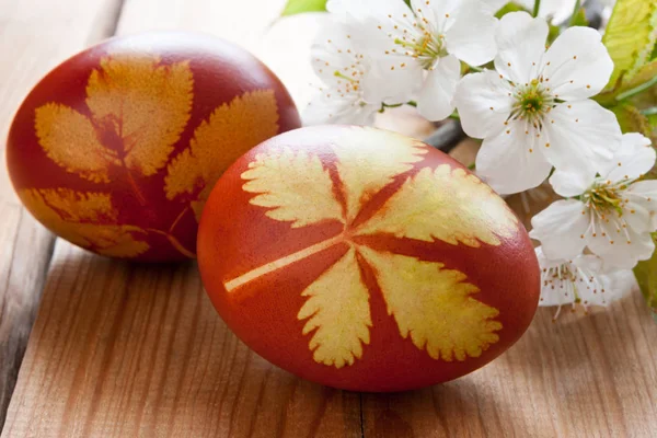 Paskalya yumurtaları Soğan kabuğu, otlar ve p bir model ile ile boyalı — Stok fotoğraf