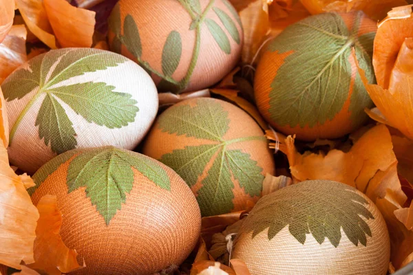 Paskalya yumurtası hazırlanması soğan kabukları ile boyalı — Stok fotoğraf