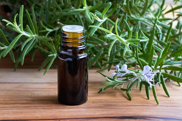 Eine Flasche ätherisches Rosmarinöl mit blühenden Rosmarinzweigen — Stockfoto