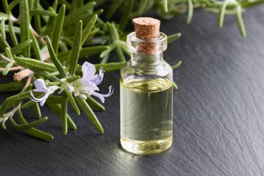 Biberiye esansiyel yağı taze çiçek açan biberiye ile bir şişe 