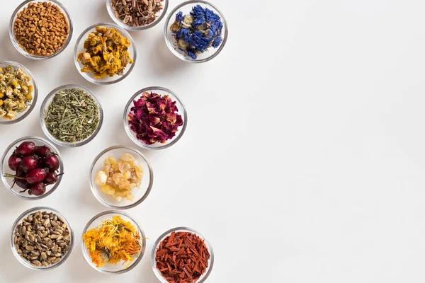 Selection of dried herbs on a white background with copy space, top view — Stock Photo, Image