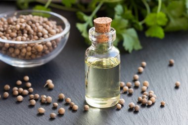 Kişniş esans kişniş ve kişniş yaprakları ile bir şişe