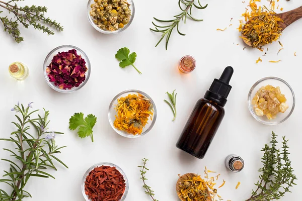 Selection of essential oils and herbs on a white background, top view — Stock Photo, Image