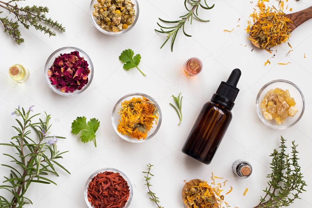 Selection of essential oils and herbs on a white background, top view