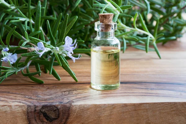 Una botella de aceite esencial de romero con romero en flor fresca — Foto de Stock