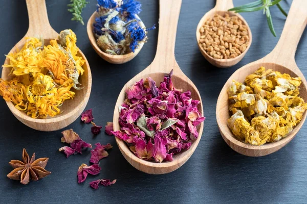 Herbs on wooden spoons on a dark background — Stock Photo, Image