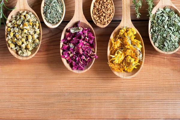 Dried herbs on spoons on a wooden background with copy space — Stock Photo, Image