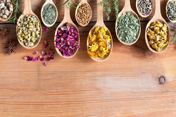 Herbs on spoons on a wooden background with copy space — Stock Photo, Image