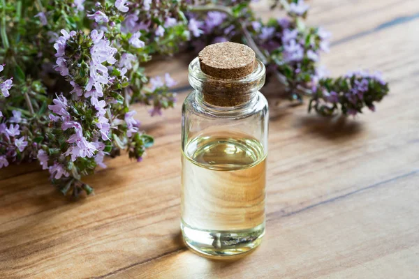 Een fles van thymus serpyllum (kruipende tijm) etherische olie — Stockfoto