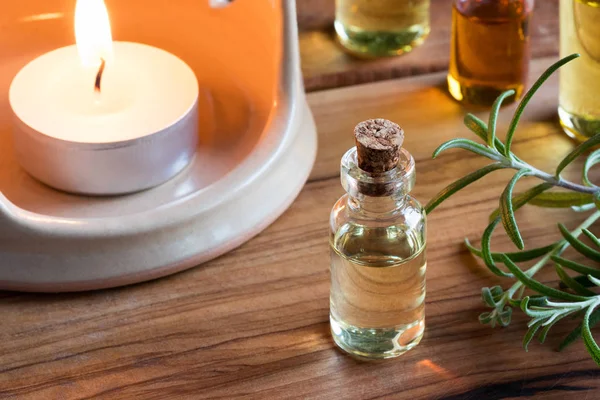 Una botella de aceite esencial de romero con ramitas de romero fresco — Foto de Stock