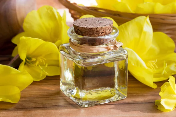 A bottle of evening primrose oil with fresh evening primrose flo — Stock Photo, Image