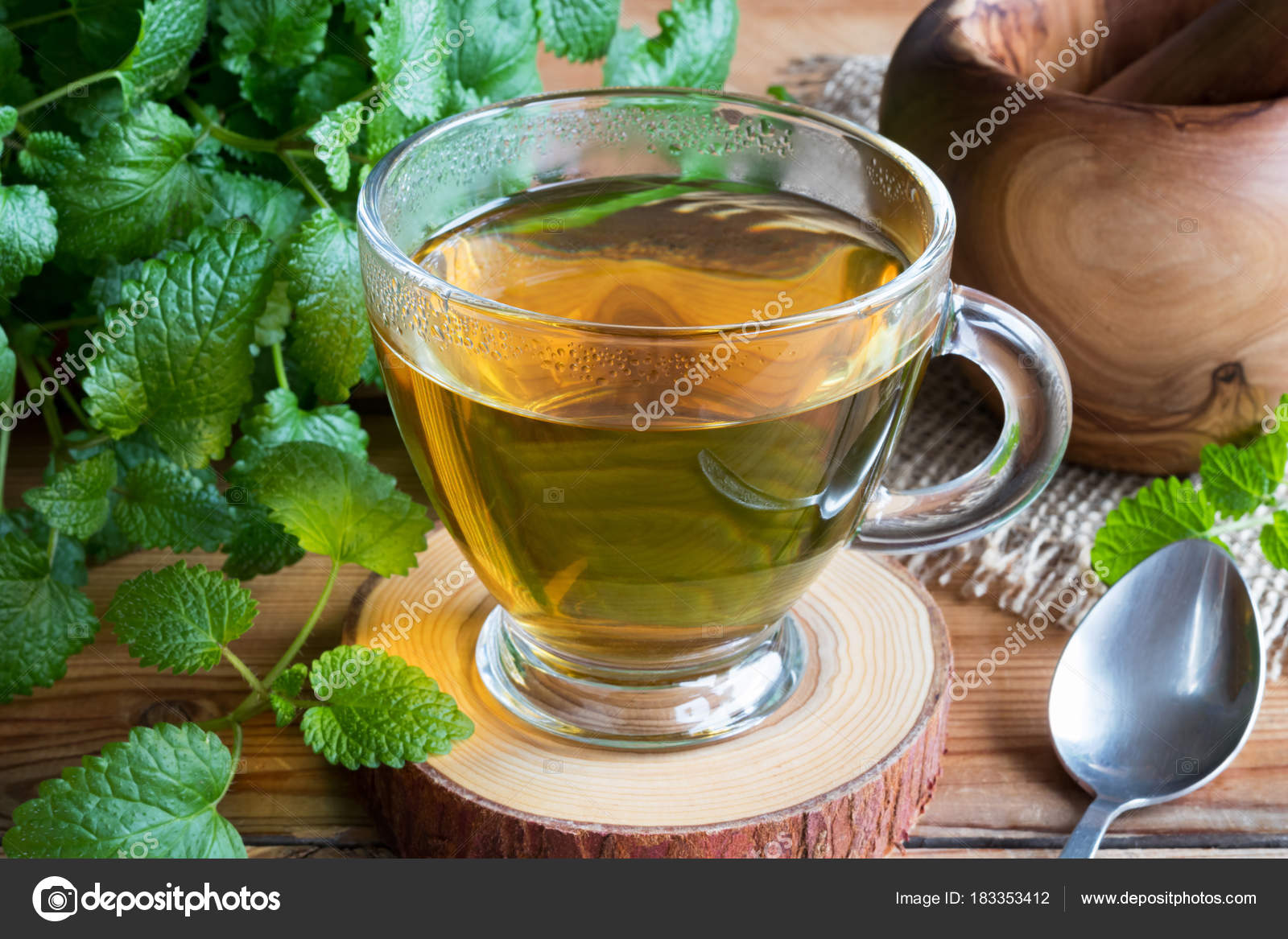 Is it possible to drink melissa tea during pregnancy 98 Is it possible to drink melissa tea during pregnancy 27