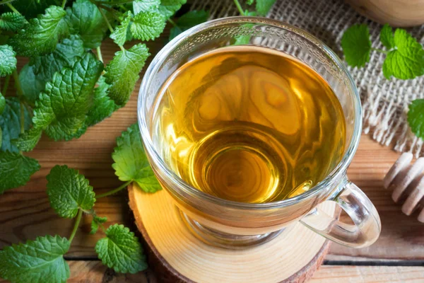 Uma xícara de chá melissa com folhas melissa frescas — Fotografia de Stock