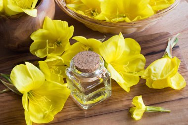 Evening primrose yağı taze akşam primrose flo ile bir şişe