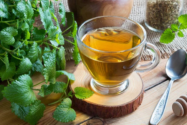 Eine Tasse Melissentee mit frischen Melissenzweigen — Stockfoto