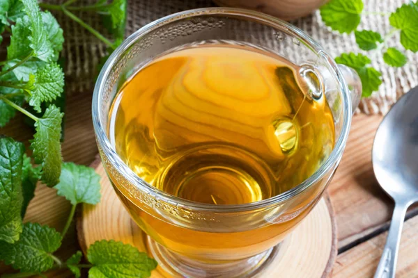 Primer plano de una taza de té de melisa con hojas frescas de melisa —  Fotos de Stock