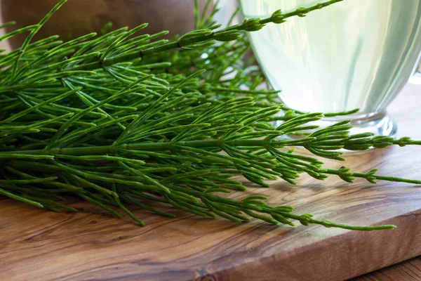 Fresh horsetail twigs on a wooden table — Stock Image Fresh horsetail twigs on a wooden table Royalty Free Stock Photos