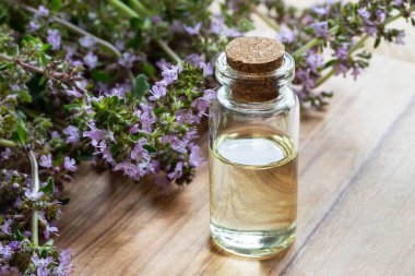 Bir şişe thymus serpyllum (sürünen kekik) uçucu yağ
