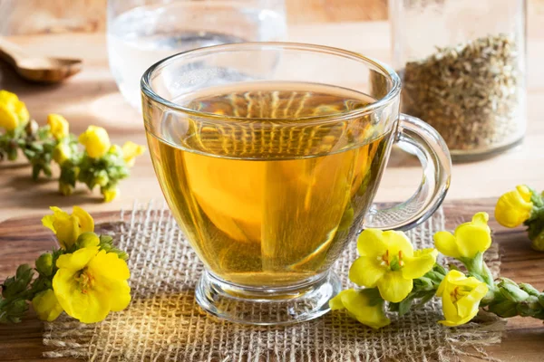 Egy csésze tea Molyhos ökörfarkkóró (verbascum) friss Molyhos ökörfarkkóró-virág — Stock Fotó