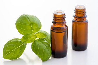 İki şişe fesleğen uçucu yağ ile taze fesleğen yaprakları wh