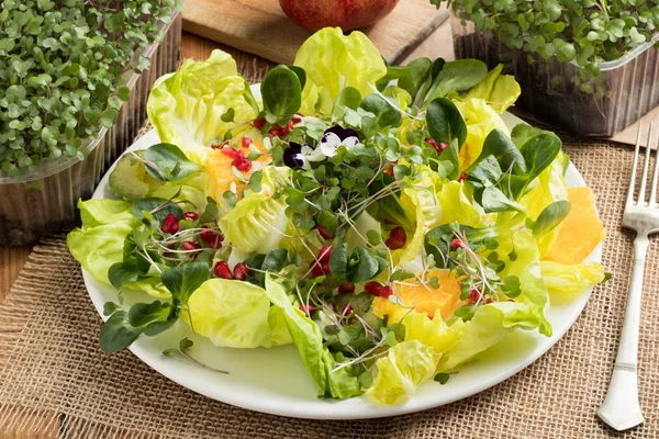 Salad sayuran dengan sayuran hijau mikro yang baru tumbuh — Stok Foto