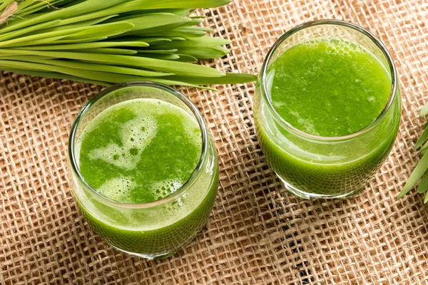 Two glasses of barley grass juice with fresh barley grass — Stock Photo, Image