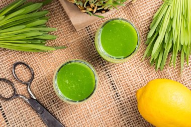 Arpa çim suyu ile iki bardak taze arpa ciğeri yetiştirilen