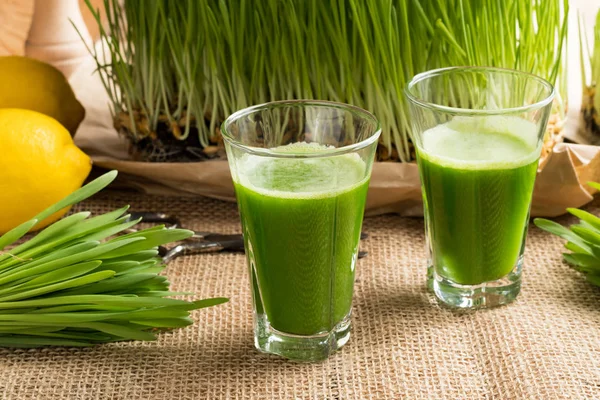 Два стакана ячменного травяного сока со свежевыращенными ячменными гра — стоковое фото