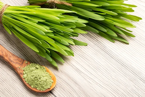 Taze genç arpa çim yeşil arpa ot tozu ile