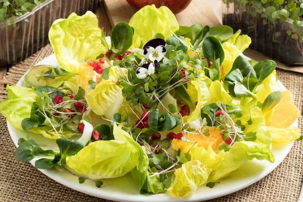 Növényi saláta friss microgreens, gyümölcs — Stock Fotó