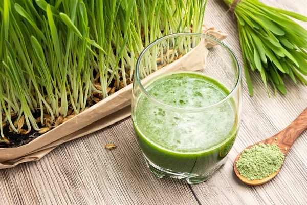 A glass of barley grass juice with young barley grass and powder — Stock Photo, Image