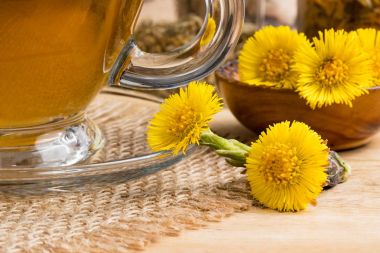 Coltsfoot çay çiçeklerle taze coltsfoot (Tussilago farfara)