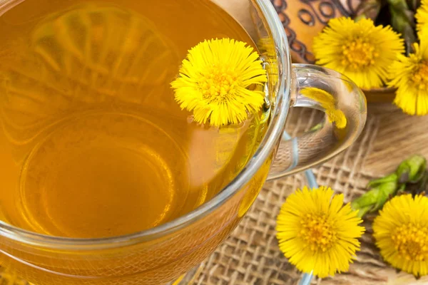 A martilapu tea friss martilapu (Tussilago farfara) virágok — Stock Fotó