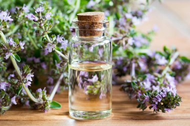 Bir şişe Breckland kekik (thymus serpyllum) uçucu yağ