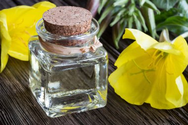 Evening primrose yağı akşam çuha çiçeği çiçek ile bir şişe