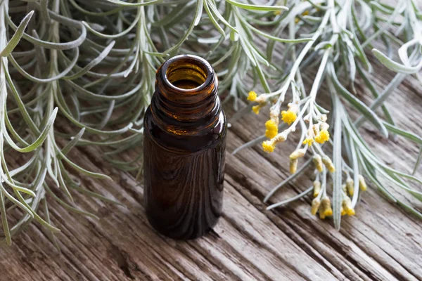 Een fles van de etherische olie van helichrysum italicum met helichrysum — Stockfoto