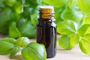 Fesleğen esans taze fesleğen ile bir şişe yaprakları