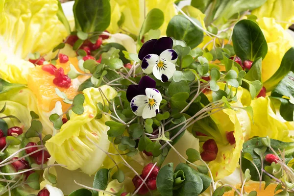 Microgreens frescos y flores comestibles en una ensalada de verduras — Foto de Stock